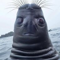 spacejagunço