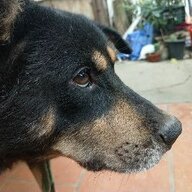 Coong