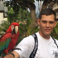 Falco