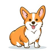 corgi