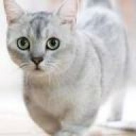 ItsMePod