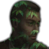 Danfiant