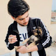 alikazmi125