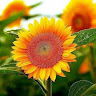navinyogesh
