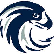 shaahinthefalcon