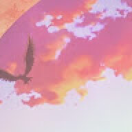 dapittman11