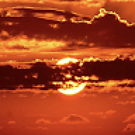 d1fe11