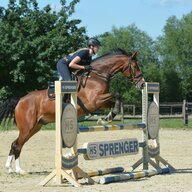 conorswailshowjumper