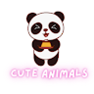 cuteanimals6676