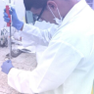 kamdrez