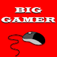 Big Gamer