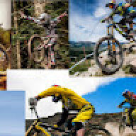 Gosthbikedh