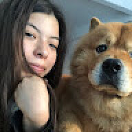 Fabis