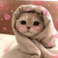 Ashir0