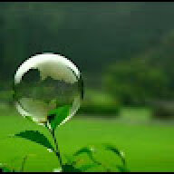 hashai