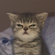 jxnas