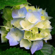haroonrizath4