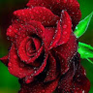 Niyanth