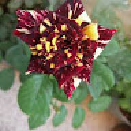 ghassem22