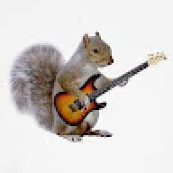 flavorful_iguana