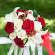 PJsAudience