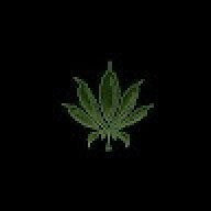 Laoufir34