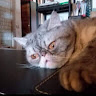 lilisunny