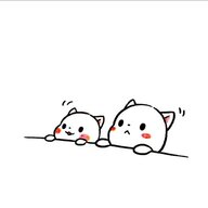 lifangwen6