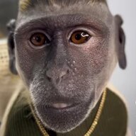 obi Boro