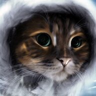 HolyDumpling