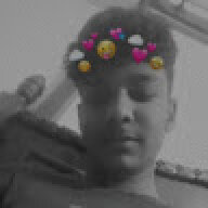 daimasif12345