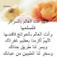 madoo203