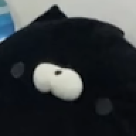 tyokousagi