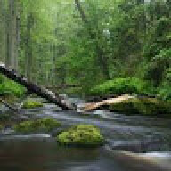 Wonders of nature