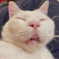 minminzemi