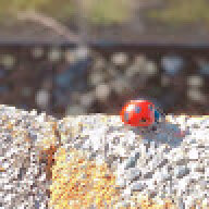 ｓｕｂｍｅｍｂｅｒ