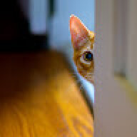 にゃんた工房Nyan-ta Craft Studi