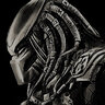 PredatorFTW