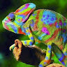 chameleonsoul1981